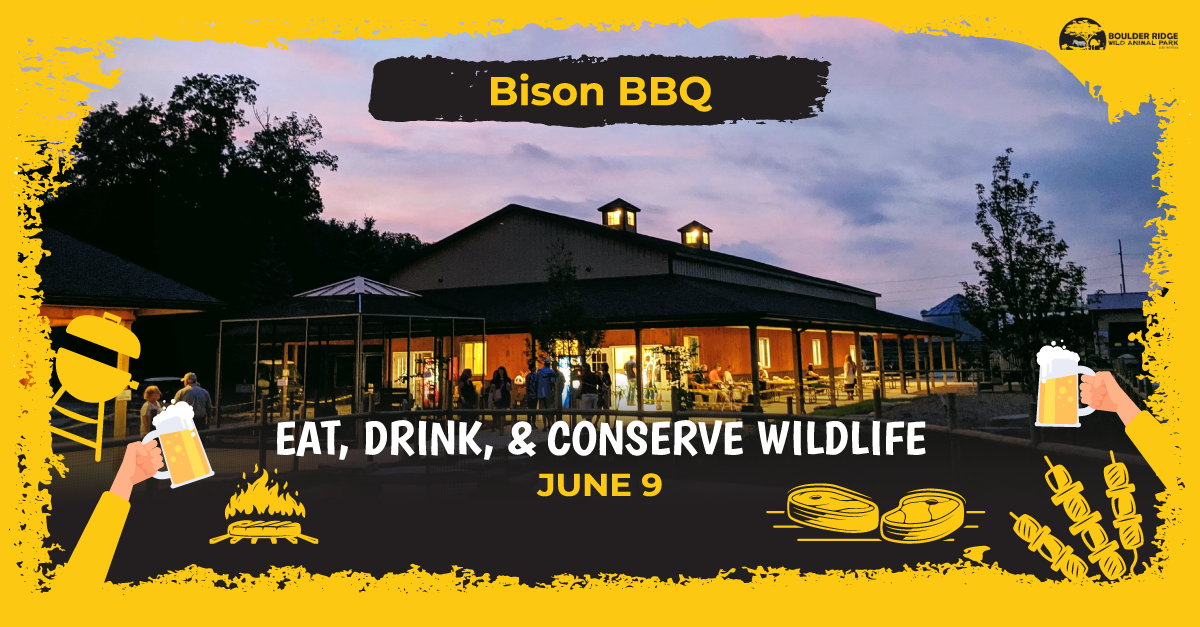 Bison BBQ at Boulder Ridge's Eat, Drink, and Conserve Wildlife 2023.