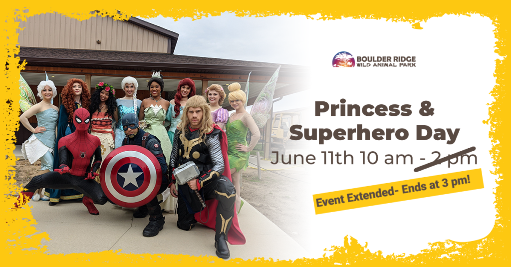 Princess Superhero Event