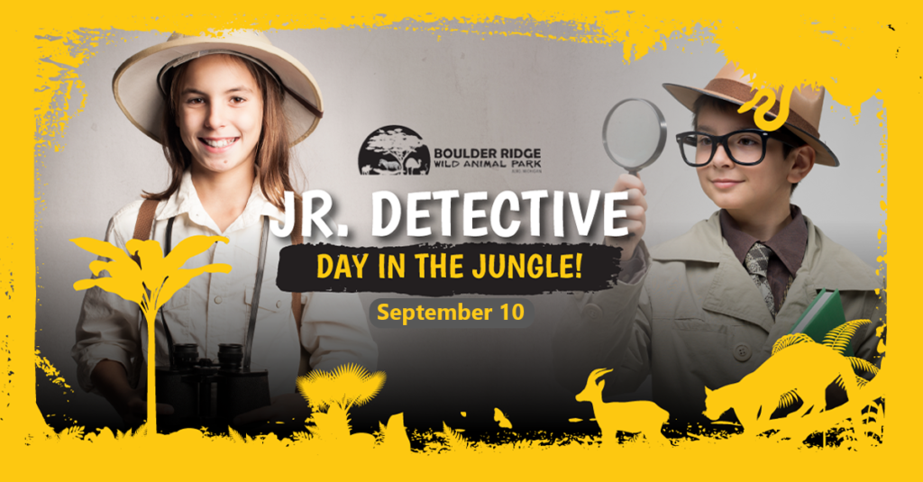 Jr. Detective Day In The Jungle