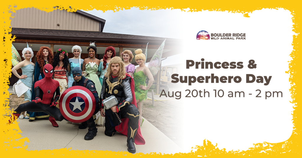 Princess & Superhero Event 2